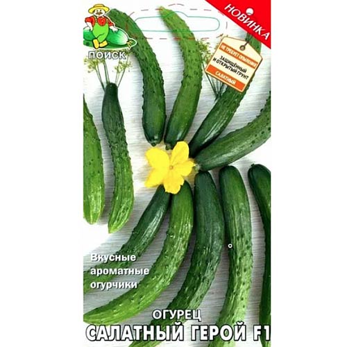 Огурец Салатный герой F1 Поиск изображение 1 артикул 81968