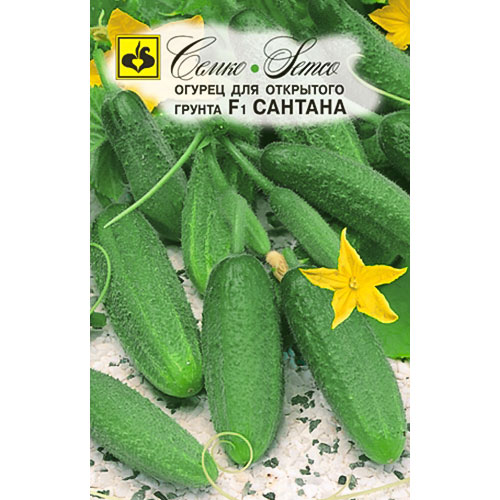 Огурец Сантана F1 Семко изображение 1 артикул 82613
