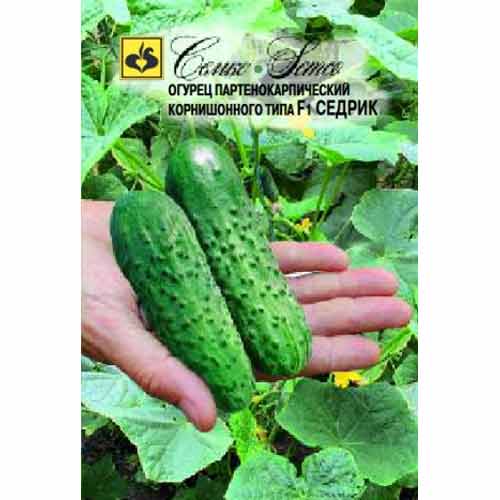 Огурец Седрик F1 Семко изображение 1 артикул 82599