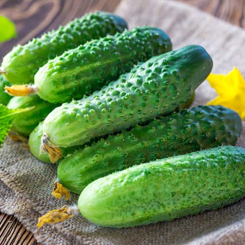 Огурец Семеновна F1 Уральский дачник изображение 1 артикул 74202