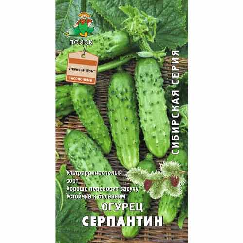 Огурец Серпантин Поиск изображение 1 артикул 66332