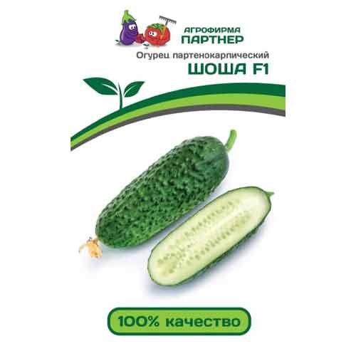 Огурец Шоша F1 Партнер изображение 1 артикул 73454