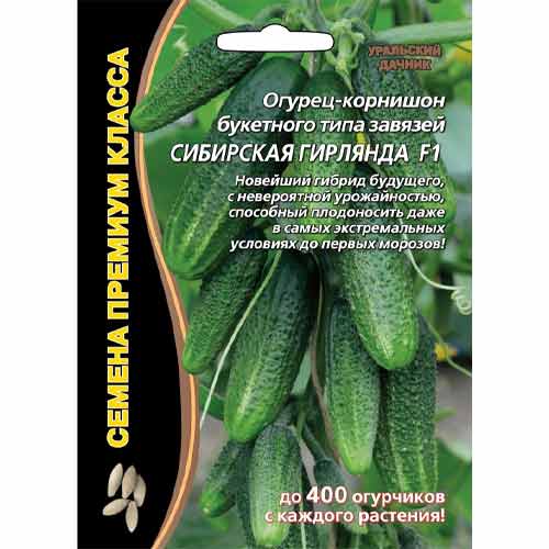 Огурец корнишон Сибирская гирлянда F1 Уральский дачник изображение 1 артикул 74203