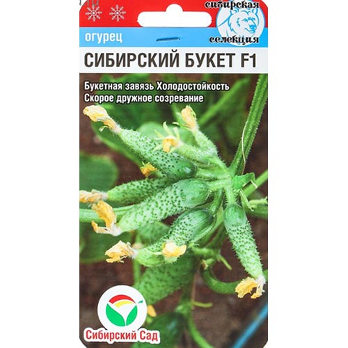 Огурец Сибирский букет F1 Сибирский Сад изображение 1 артикул 65398