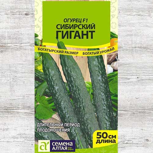 Огурец Сибирский гигант F1 изображение 1 артикул 81535