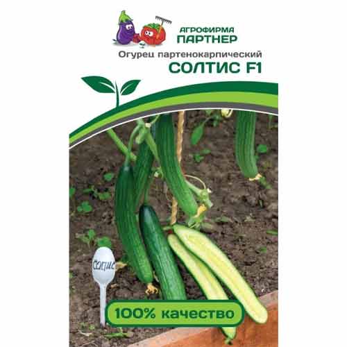Огурец Солтис F1 Партнер изображение 1 артикул 73460