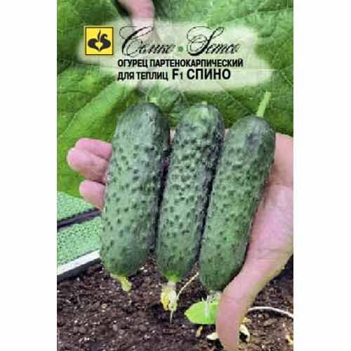 Огурец Спино F1 Семко изображение 1 артикул 82601