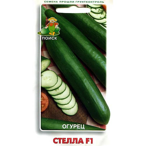 Огурец Стелла F1 Поиск изображение 1 артикул 81970