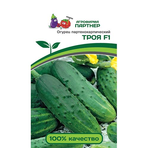 Огурец Троя F1 Партнер изображение 1 артикул 73457
