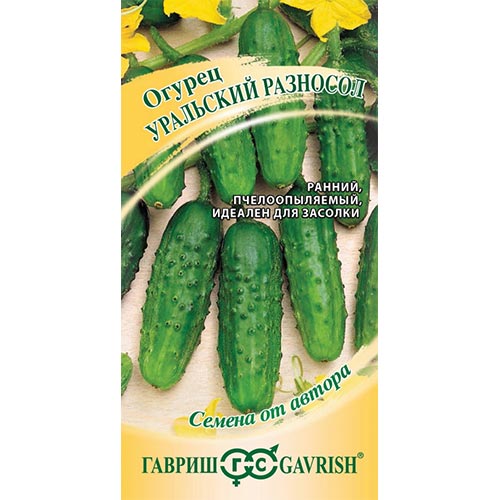 Огурец Уральский разносол, семена изображение 1 артикул 91775