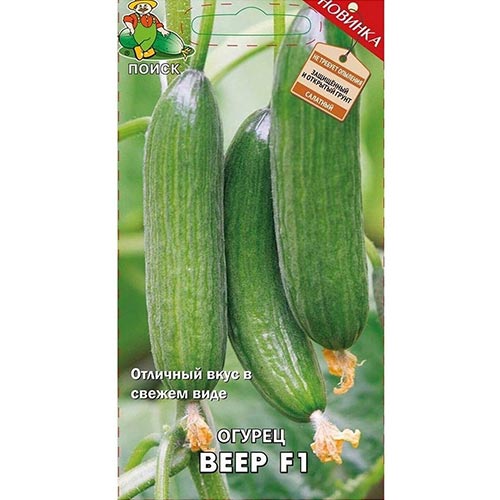 Огурец Веер F1, семена изображение 1 артикул 92771