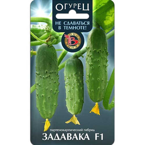 Огурец Задавака F1 Биотехника изображение 1 артикул 91521