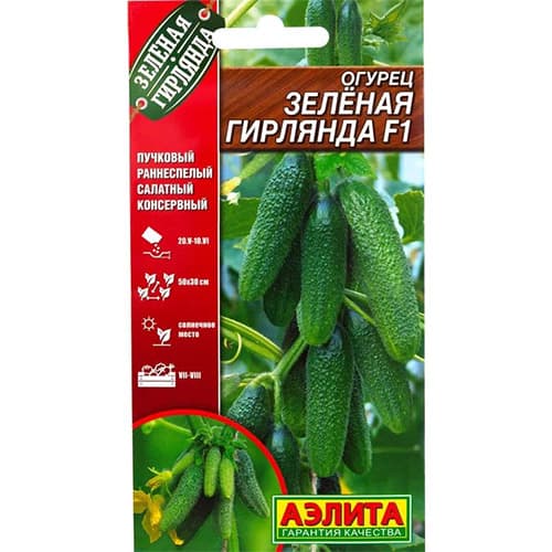 Огурец Зеленая гирлянда F1 Аэлита артикул фото 1 Огурец Зеленая гирлянда F1 Аэлита изображение 1 артикул 98399