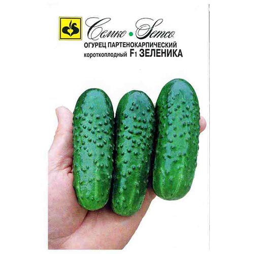 Огурец Зеленика F1, семена артикул фото 1 Огурец Зеленика F1, семена изображение 1 артикул 94259