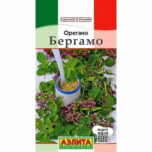 Орегано Бергамо Аэлита изображение 1 артикул 40149