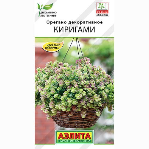 Орегано декоративное Киригами Аэлита артикул фото 1 Орегано декоративное Киригами Аэлита изображение 1 артикул 99017