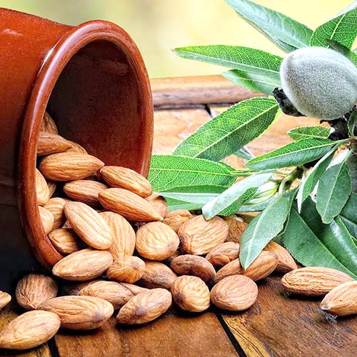 Миндаль Десертный изображение 1 артикул 7426