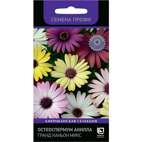 Остеоспермум Акилла Гранд Каньон, смесь окрасок изображение 1 артикул 93077