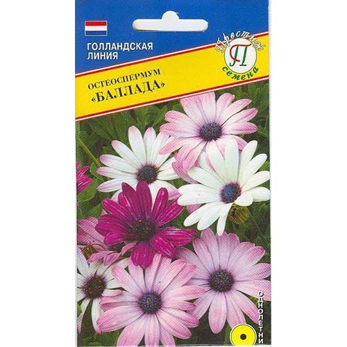 Остеоспермум Баллада, смесь окрасок Престиж изображение 1 артикул 81368
