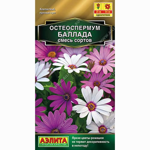 Остеоспермум Баллада, смесь окрасок Аэлита изображение 1 артикул 99018