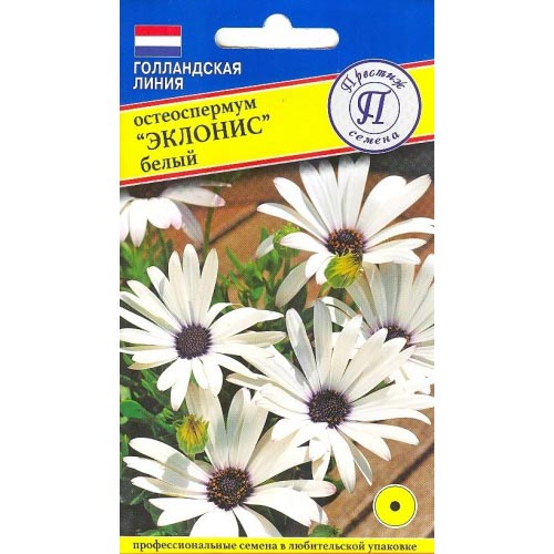 Остеоспермум Эклонис белый, семена изображение 1 артикул 93239