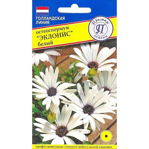 Остеоспермум Эклонис белый Престиж изображение 1 артикул 71496
