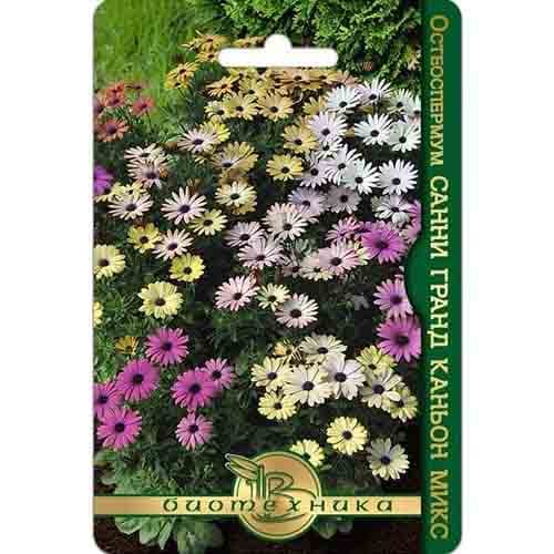 Остеоспермум Санни Гранд Каньон, смесь окрасок Биотехника изображение 1 артикул 91594