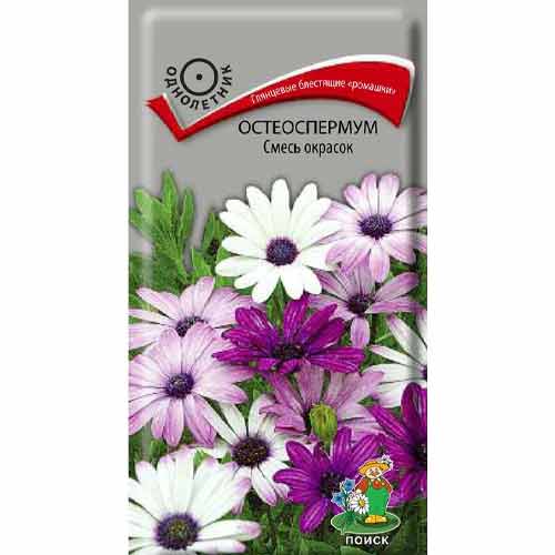 Остеоспермум, смесь окрасок Поиск изображение 1 артикул 93078