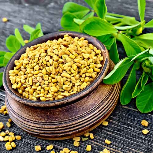 Пажитник Шамбала Седек изображение 1 артикул 84913