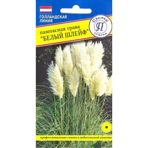 Пампасная трава Белый шлейф Престиж изображение 1 артикул 65853