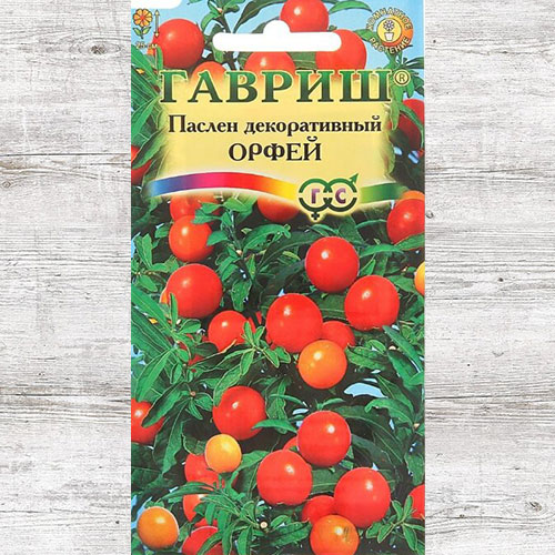 Паслен декоративный Орфей Гавриш артикул фото 1 Паслен декоративный Орфей Гавриш изображение 1 артикул 66100