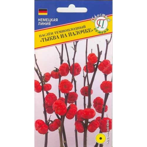 Паслен темноплодный Тыква на палочке изображение 1 артикул 66142