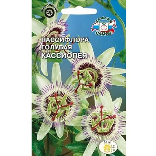 Пассифлора Кассиопея, семена изображение 1 артикул 93929