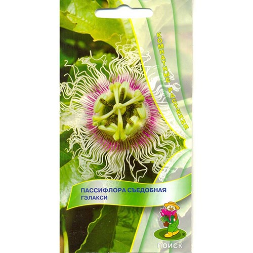 Пассифлора съедобная Гэлакси, семена изображение 1 артикул 93079