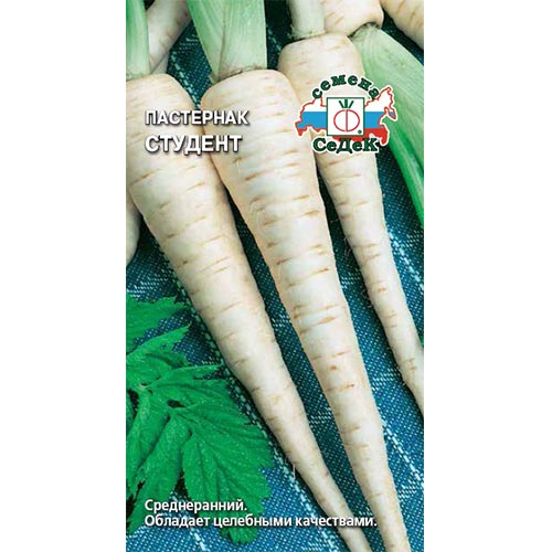 Пастернак Студент, семена изображение 1 артикул 93473