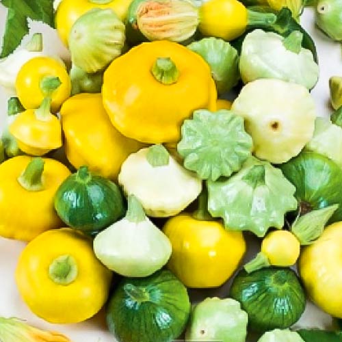 Патиссон Веселые друзья, смесь сортов изображение 1 артикул 65138