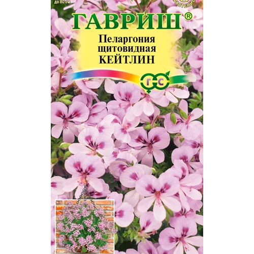 Пеларгония ампельная Кейтлин Гавриш изображение 1 артикул 87921