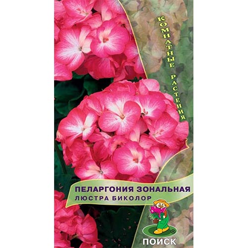 Пеларгония Люстра Биколор, семена изображение 1 артикул 93080