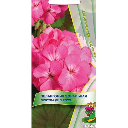 Пеларгония Люстра Дип Роуз, семена изображение 1 артикул 93082