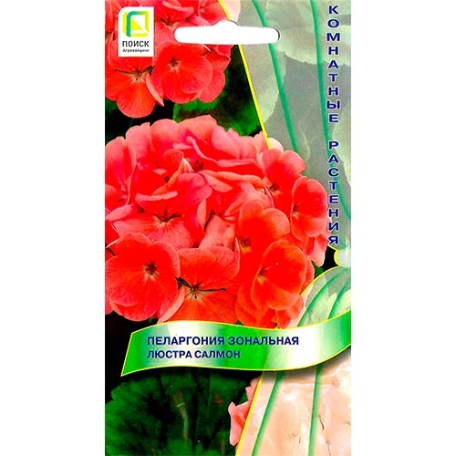 Пеларгония Люстра Салмон, семена изображение 1 артикул 93083