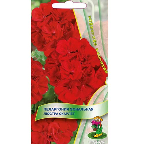 Пеларгония Люстра Скарлет, семена изображение 1 артикул 93084