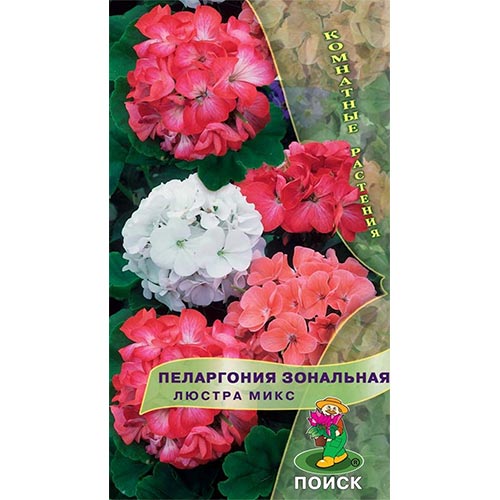 Пеларгония Люстра, смесь окрасок изображение 1 артикул 93085