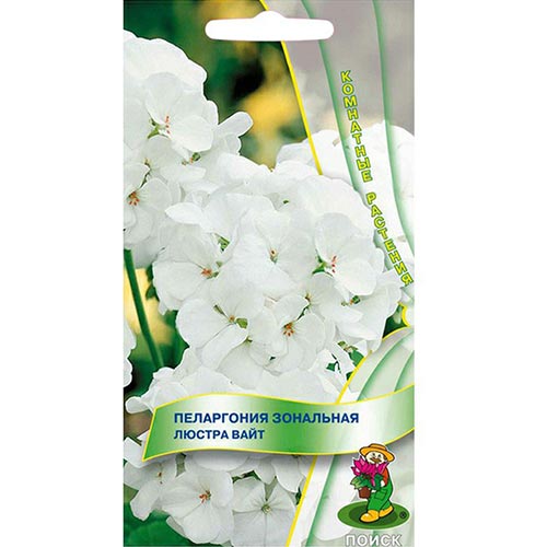 Пеларгония Люстра Вайт, семена изображение 1 артикул 93081