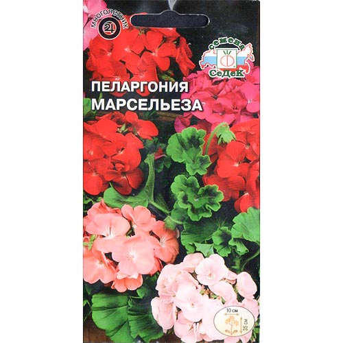 Пеларгония Марсельеза, смесь окрасок изображение 1 артикул 93931
