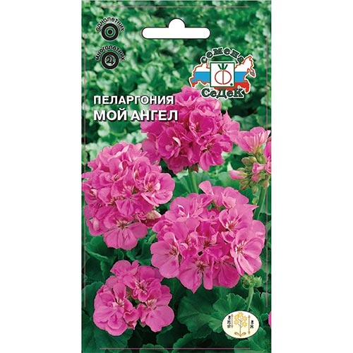 Пеларгония Мой Ангел, семена изображение 1 артикул 93932
