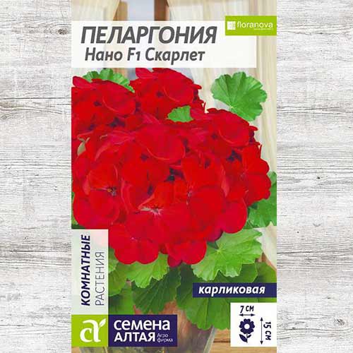 Пеларгония Нано Скарлет F1 артикул фото 1 Пеларгония Нано Скарлет F1 изображение 1 артикул 81706