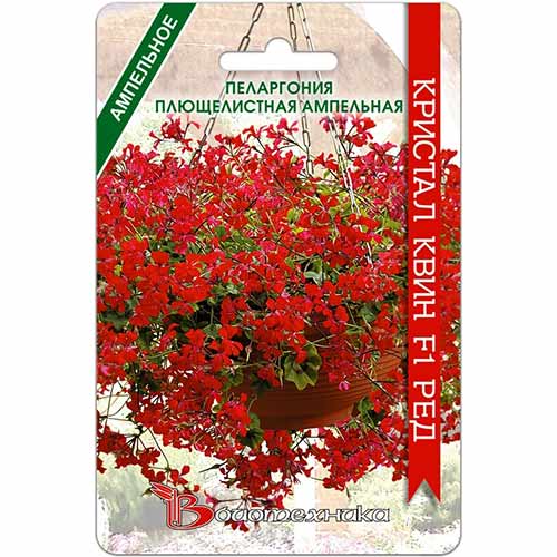 Пеларгония Кристал Квин Ред F1 Биотехника изображение 1 артикул 74105