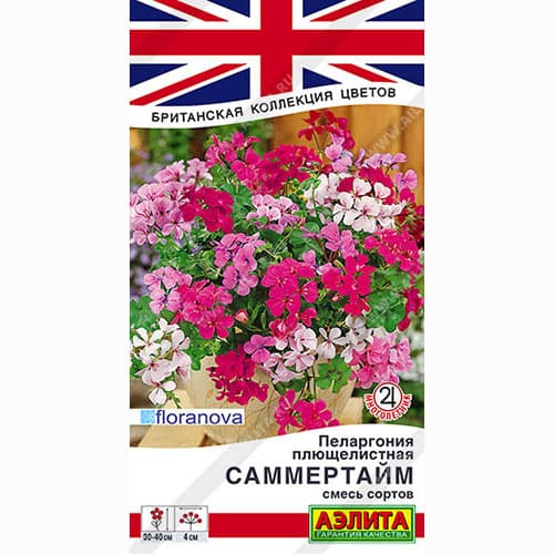 Пеларгония плющелистная Саммертайм, смесь окрасок Аэлита изображение 1 артикул 99026