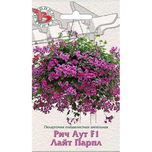 Пеларгония плющелистная ампельная Рич Аут Лайт Парпл F1 Биотехника изображение 1 артикул 82700