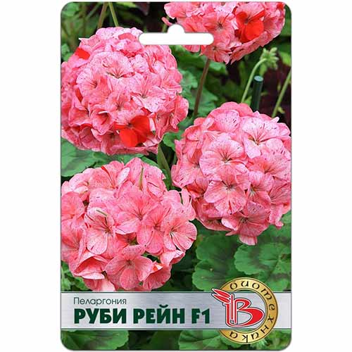 Пеларгония Руби Рейн F1 Биотехника изображение 1 артикул 84638